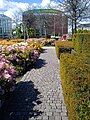 Flowers, boxwood and benches