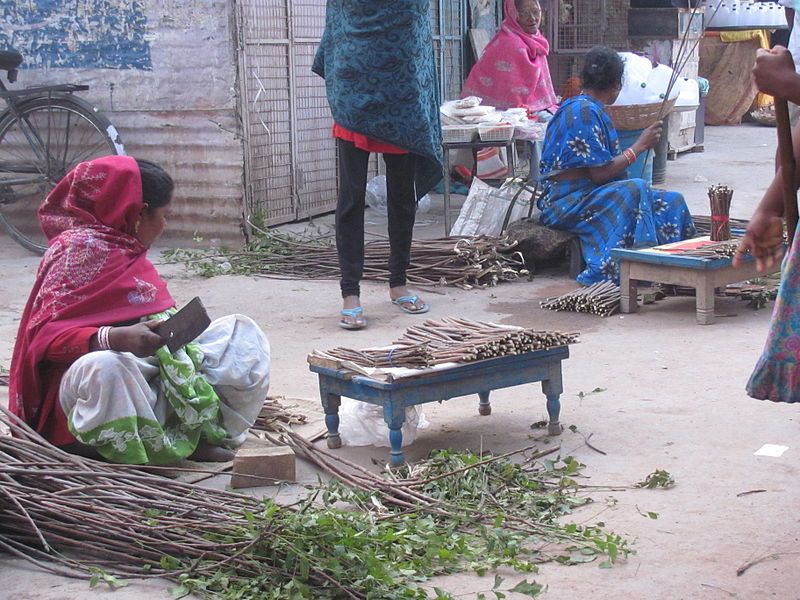 File:Neem Twig sellers.JPG