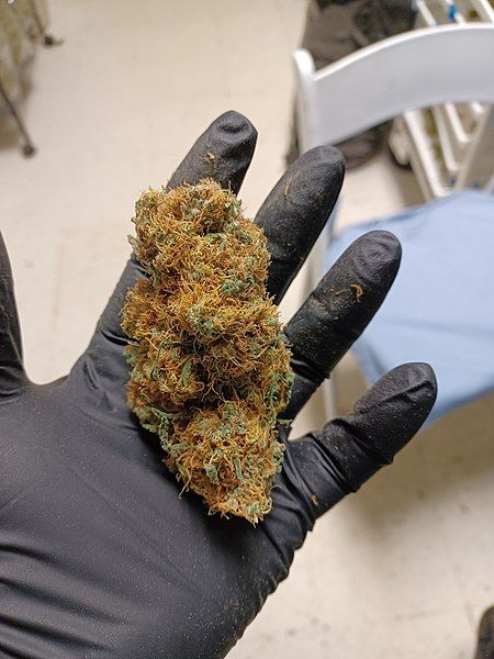 File:PCB top bud.jpg