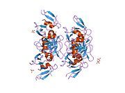 1fd4: HUMAN BETA-DEFENSIN 2