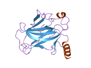 2bin: HUMAN P53 CORE DOMAIN MUTANT M133L-H168R-V203A-N239Y-N268D