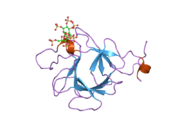 2p39: Crystal structure of human FGF23