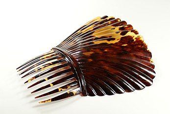 Photograph of a decoratively ridged comb made of tortoiseshell