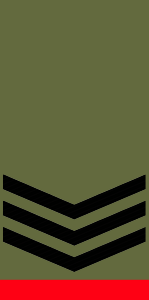 File:Probationary Sgt.png