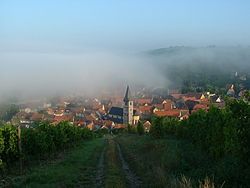 Randersacker on a foggy summer morning