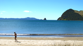 view of Great Barrier island and the Colville Channel from Sanby Bay