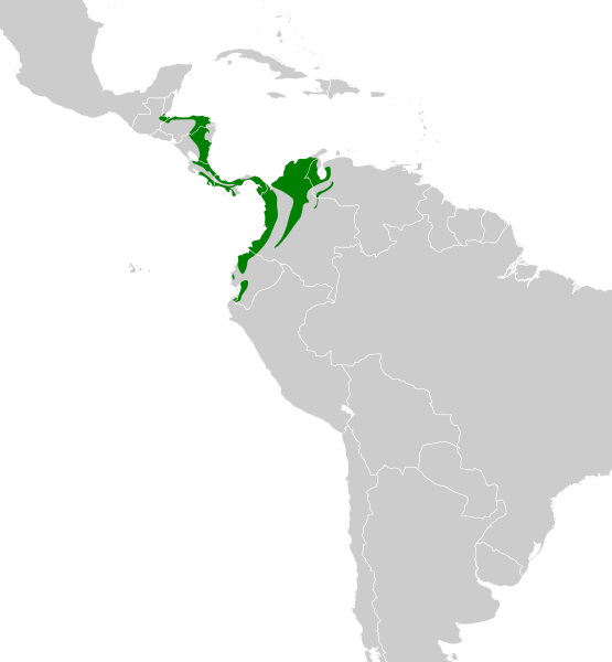 File:Thalurania colombica map.svg