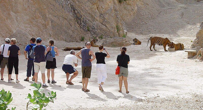 File:Tourists tiger temple.jpg