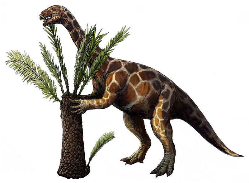 File:Unaysaurus.jpg