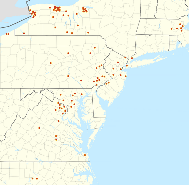 File:Wegmans footprint.png