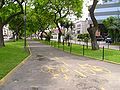 Bike path in the avenue