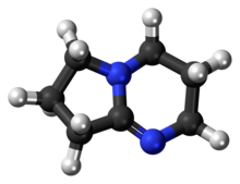 DBN molecule