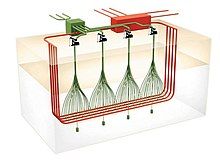 A schematic overview of the American Shale Oil CCR in situ process facility. Horizontal and vertical wells apply steam to the oil shale deposit and vertical wells recover the oil.