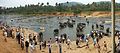 Tourists observing elephants bathing in Oya River