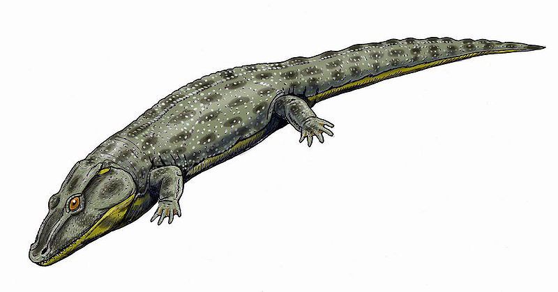 File:Intasuchus124DB.jpg