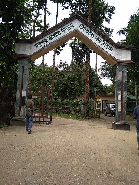 File:Madhupur forest.jpg