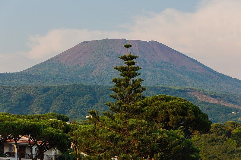 File:Mount Vesuvius Araucaria.jpg