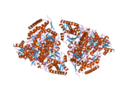 3exh: Crystal structure of the pyruvate dehydrogenase (E1p) component of human pyruvate dehydrogenase complex