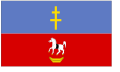 Flag of Włoszczowski County