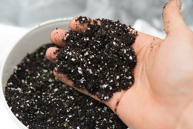 File:Pro-Mix Potting Soil.jpg