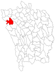 Location in Vaslui County