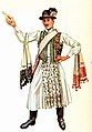 Image 24A vőfély in traditional costume, c. 1885 (from Culture of Hungary)