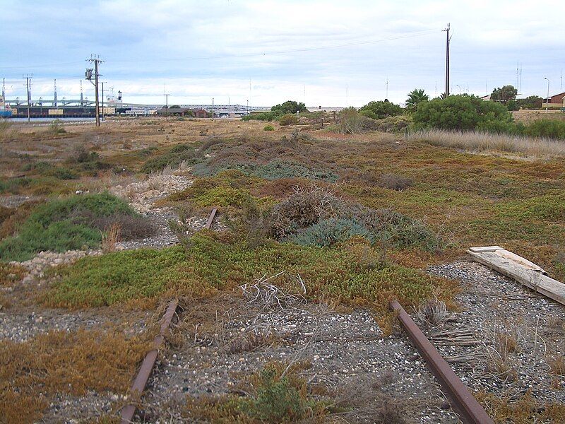 File:Wallaroo-overgrown-rail-tracks-0835.jpg