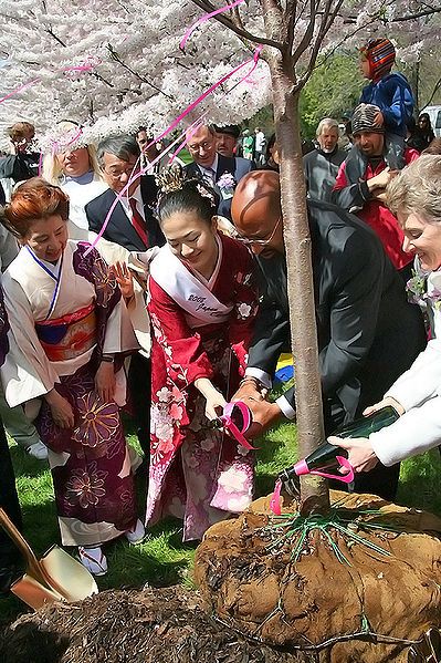 File:2008-Subaru-Cherry-Blossom-Festival-of-Greater-Philadelphia-4.jpg