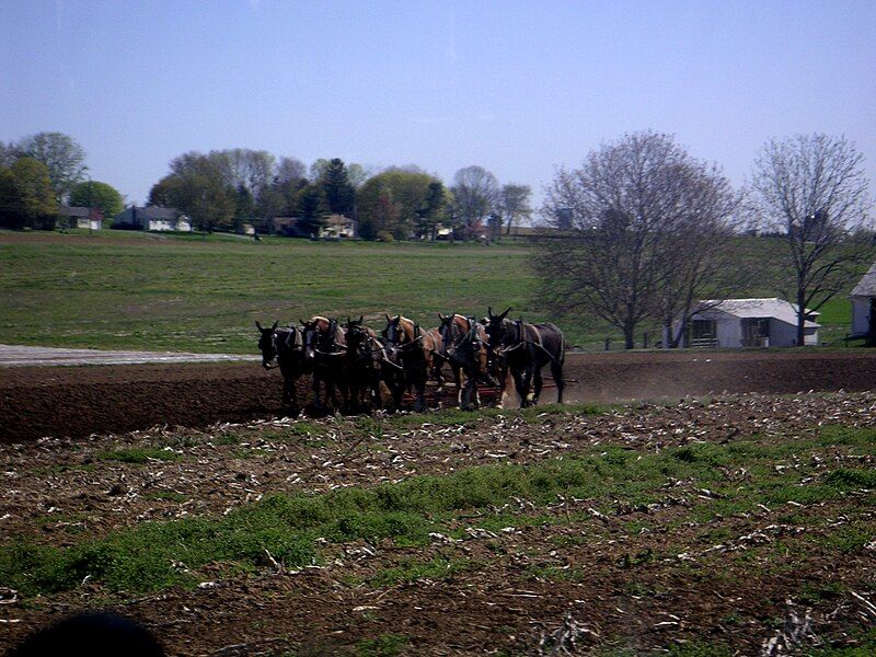 File:Agriculture in Pennsylvania.jpg