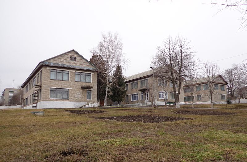 File:BalakliiaPedagogicalSchool.jpg