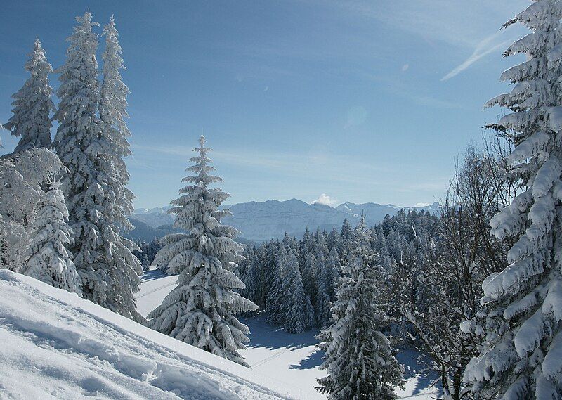 File:Brüggelekopf Juppenspitze.JPG