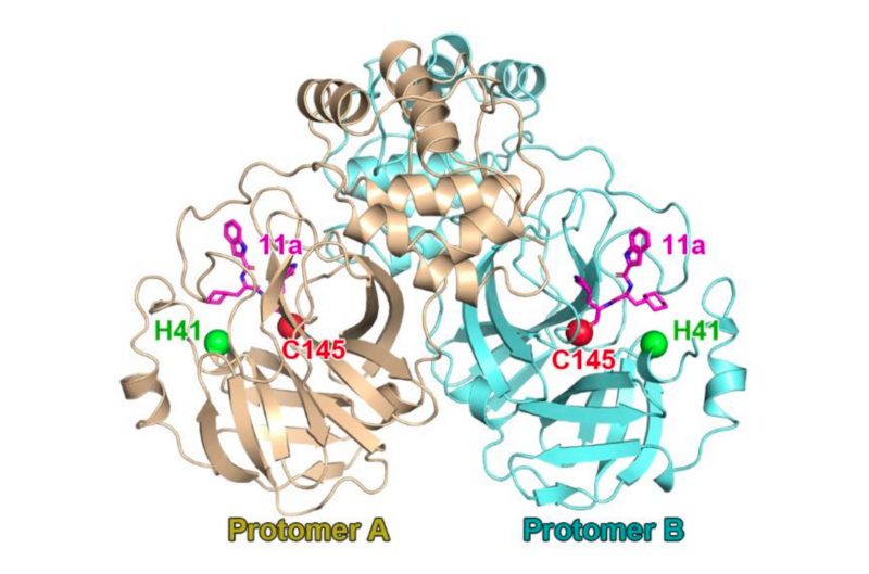 File:DOI.10.1126.science.abb4489.S2.png