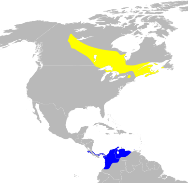 File:Dendroica castanea map.svg