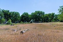 Campsite of Fort Laramie Mounted riflemen 1851