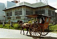 Bahay na bato-style Henson-Hizon House