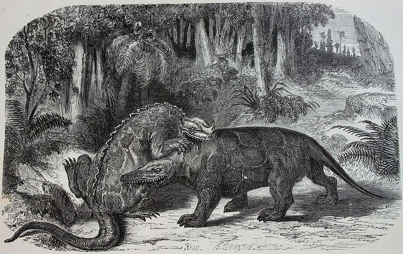 File:Iguanodon versus Megalosaurus.jpg