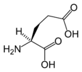 L-Glutamic acid (Glu / E)