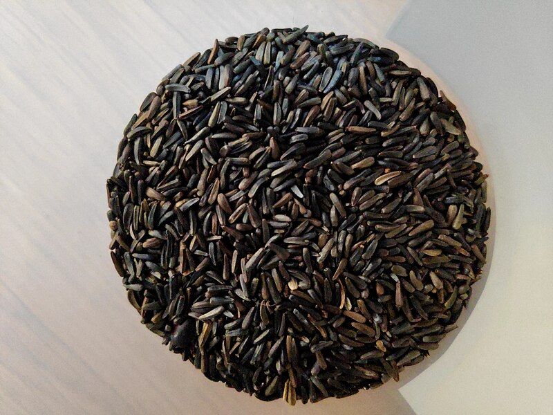 File:Niger Seed.jpg