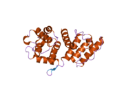 1tjt: X-ray structure of the human alpha-actinin isoform 3 at 2.2A resolution