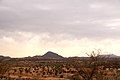 Schildkröte-Berg Namibia