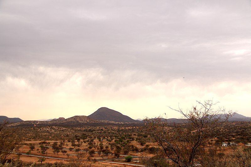 File:Schildkröte-Berg Namibia.jpg