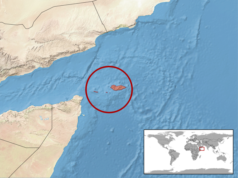 File:Trachylepis socotrana distribution.png