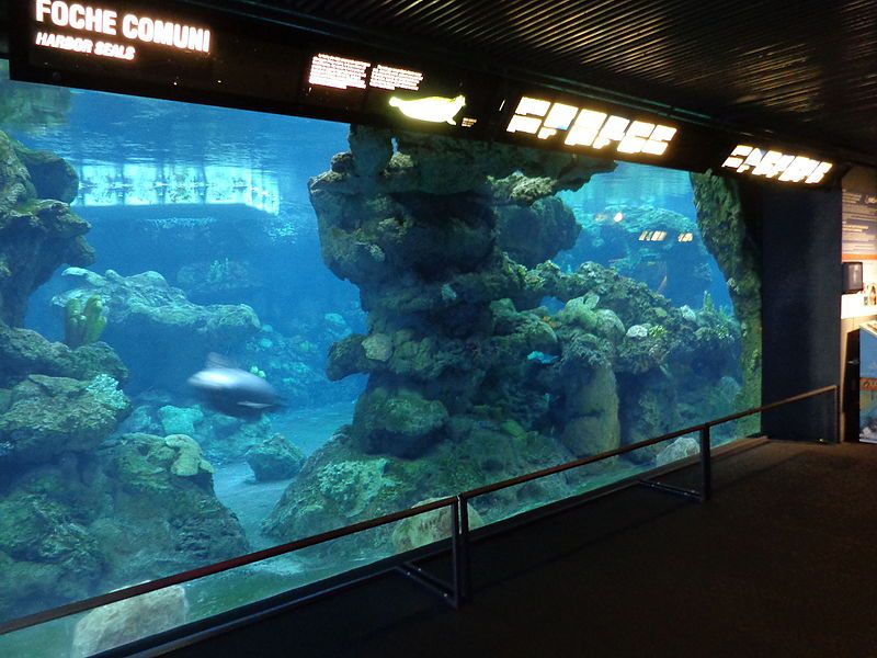 File:Aquarium Genoa 42.JPG