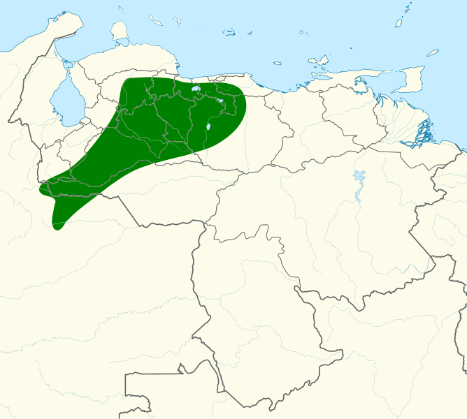 File:Brachygalba goeringi map.svg