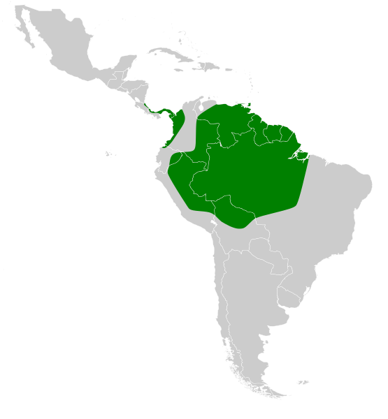 File:Chiroderma trinitatum map.svg