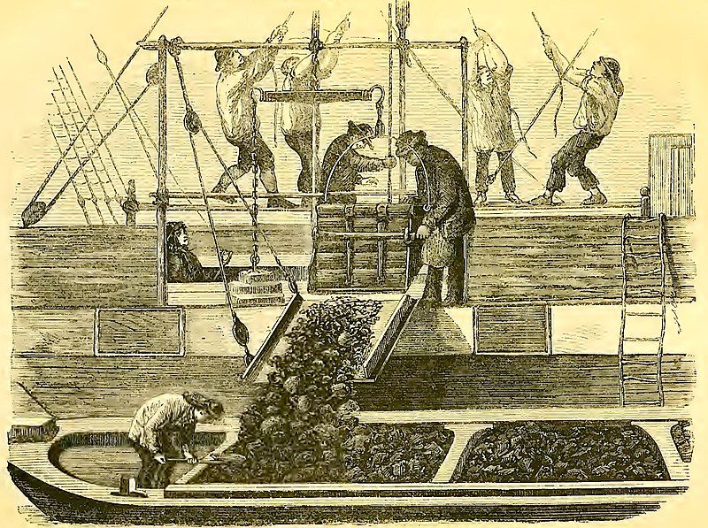 File:Coal whippers Mayhew.jpg