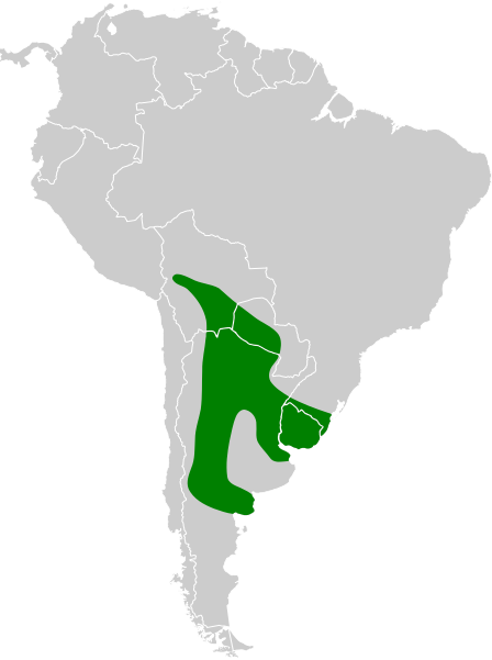 File:Cranioleuca pyrrhophia map.svg