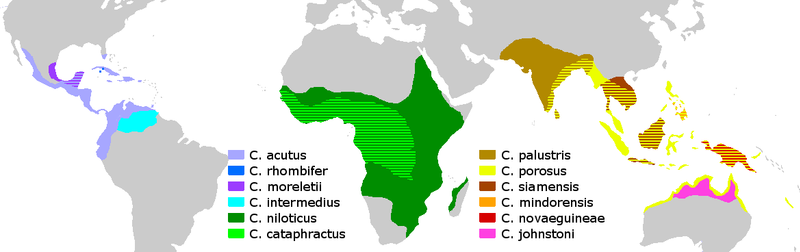 File:Crocodylus Distribution.png