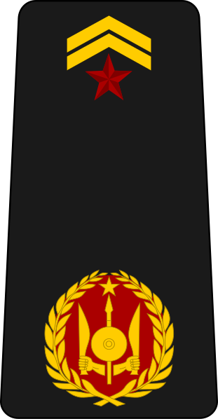 File:Djibouti-Navy-OF-3.svg