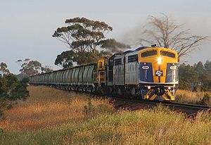 A mix of hired and El Zorro locomotives on a broad gauge grain service